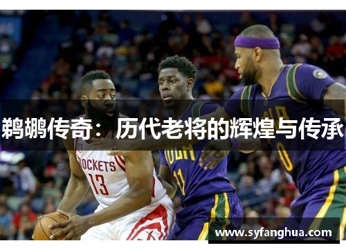 鹈鹕传奇：历代老将的辉煌与传承
